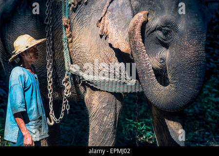 Asien. Thailand, Chiang Dao. Elefant-Zentrum. Mahout und seinen Elefanten. Stockfoto