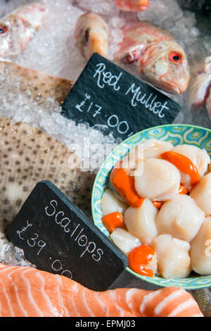Eine Auswahl an frischem Fisch, einschließlich Red Mullett und Jakobsmuscheln in einem Fischhändler Zähler UK Stockfoto