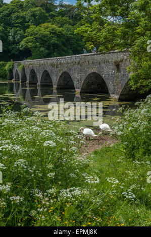 Acht Bogen-Brücke über den Bosherston Seen. Stackpole Estate. Pembrokeshire. Wales. Stockfoto