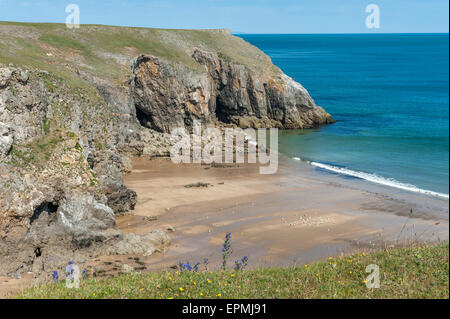 Pembrokeshire Coast National Park. Stackpole Estate. Pembrokeshire. Wales Stockfoto