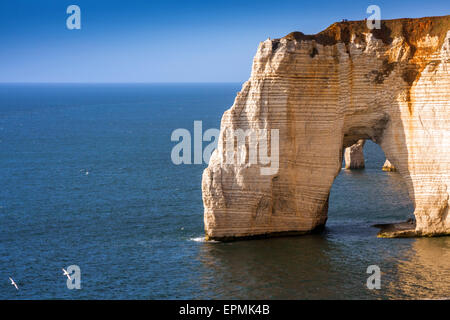 Falaise d'Amont Klippe bei Etretat, Normandie, Frankreich, Europa Stockfoto