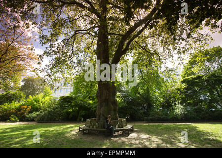 Belgrave Square Garden, Grosvenor Estate, Belgravia, London, England, UK Stockfoto