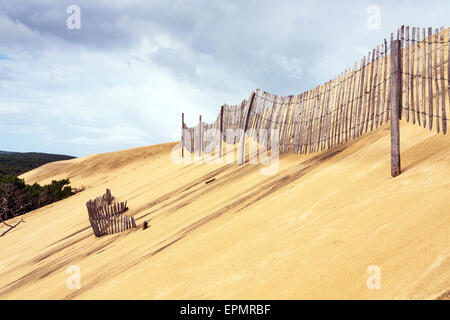 Blick von der Düne von Pilat (aka Düne von Pyla) von d ' Arcachon, Frankreich, Europa Stockfoto