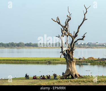 Dorfbewohner sitzen unter einem alten Baum im Thaungthaman See Stockfoto