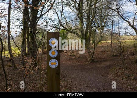 Zweisprachigen öffentlichen Fußweg Schild an Post, Publc Wanderweg im Feld in der Nähe von Pentyrch, Cardiff North, South Glamorgan, Wales, UK Stockfoto