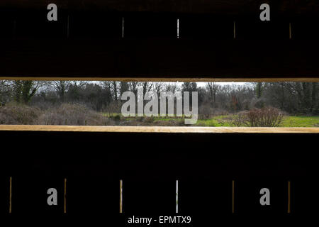 Ansicht von einem hölzernen Vogel verstecken, Wald Bauernhof Natur Reservat, Cardiff North, South Wales, UK Stockfoto