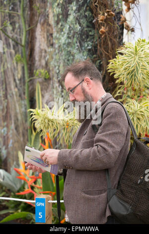 Ein Besucher schaut das Programm für die Chelsea Flower Show 2015 Stockfoto