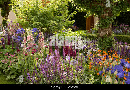 London, UK 19. Mai 2015 Lupinen, Iris und Verbascum im The Morgan Stanley gesunde Städte Garten entworfen von Chris Beardshaw am Eröffnungstag der RHS Chelsea Flower Show Stockfoto