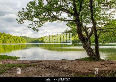 Plitvicer Seen in Kroatien - Nationalpark-Sommer Stockfoto