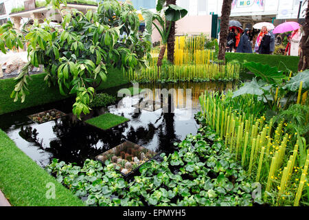 Die World Vision Garten, frisch auf RHS Chelsea Flower Show 2015 entworfen von John Warland Stockfoto