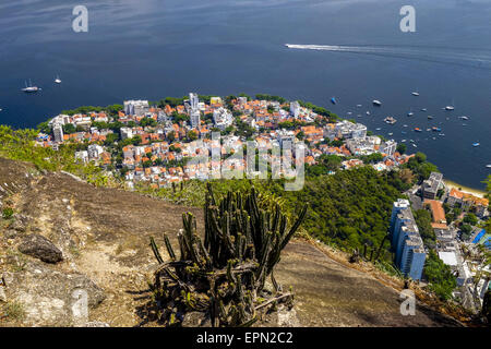 Blick auf Rio von Pao de Acucar, Zuckerhut, Rio de Janeiro, Brasilien, Rio De Janeiro Stockfoto