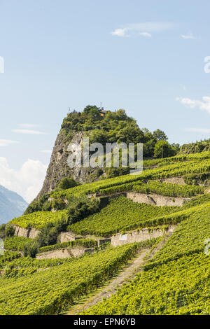 Weinberge in Uvrier, Wallis, Schweiz, Uvrier Stockfoto