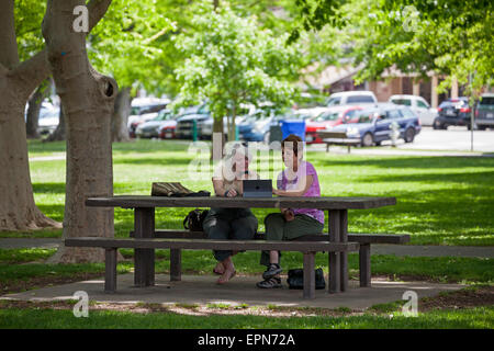 Freundinnen suchen ein iPad in einem Park, Sonoma, Kalifornien, USA Stockfoto