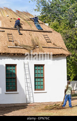 Männer thatching Dach des Spielzeugmuseum, Stellenbosch, Cape Winelands District, Provinz Western Cape, Südafrika Stockfoto