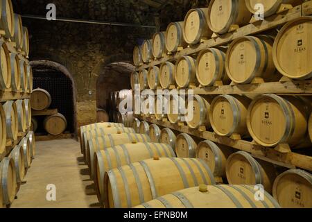 Weinfässer, Bodega Ribas, Consell, Mallorca, Balearen, Spanien Stockfoto