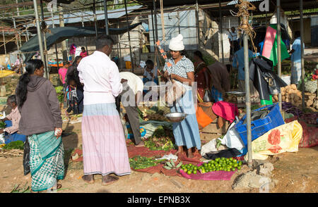 Markt in der Stadt von Haputale, Badulla District, Uva Provinz, Sri Lanka, Asien Stockfoto