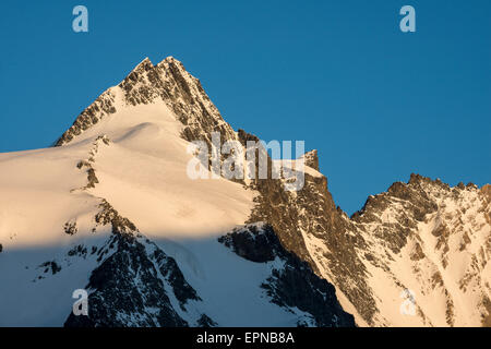 Gipfel des Mt. Großglockner in der Morgen Licht, Nationalpark Hohe Tauern, Kärnten, Österreich Stockfoto