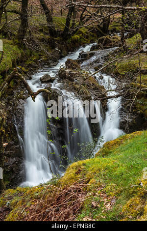 Hause Gill in kleinen Gatesgarthdale Stockfoto