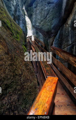 Promenade in Seisenberg Klamm, Weißbach Stream, in der Nähe von Lofer, Zell am See bin sehen, Bezirk, Bundesland Salzburg, Österreich Stockfoto