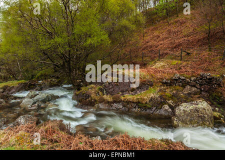 Hause Gill in kleinen Gatesgarthdale Stockfoto