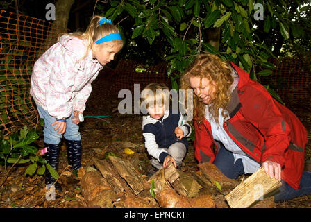 Promi-TV-Gärtner Charlie Dimmock (TVs Ground Force) auf der Suche nach "Wanzen" tagsüber wachsen For It Natur Bewusstsein für Kinder Stockfoto