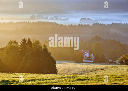 nebligen Morgendämmerung über die Böhmische Schweiz Stockfoto
