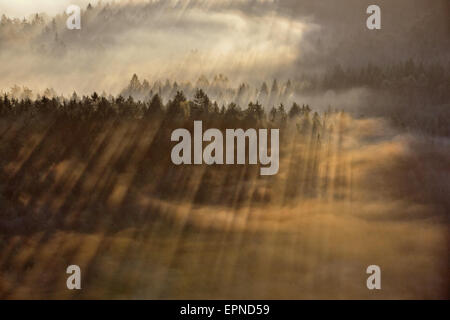 Sonnenaufgang-Balken über Nebel in der Böhmischen Schweiz Stockfoto