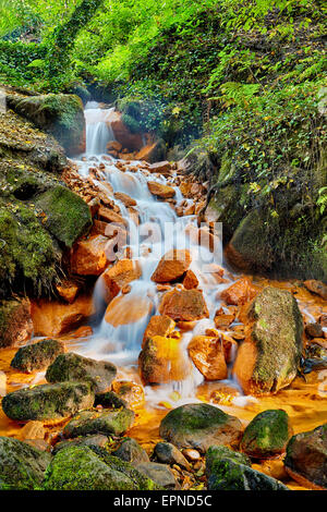 Bach Suchá Kamenice in der Böhmischen Schweiz Stockfoto