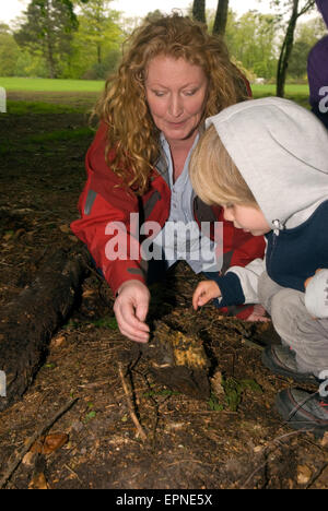 Promi-TV-Gärtner Charlie Dimmock (TVs Ground Force) auf der Suche nach "Wanzen" tagsüber wachsen For It Natur Bewusstsein für Kinder Stockfoto