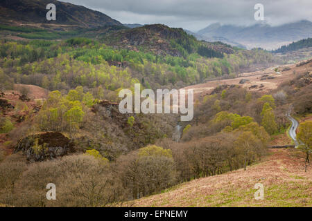 Ulpha Fell und große Knott Gipfeltreffen von Cloud, versteckt, wie gesehen von Hollin Haus Zunge, in der Nähe von Seathwaite, Dunnerdale, Cumbria Stockfoto