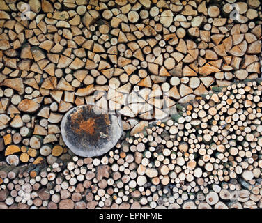 Holzstapel luftgetrocknet, homegrown, Hartholz Brennholz, North Wales, UK; Natürlich bildeten Herzform auf feuchten Ende Hackklotz. Stockfoto