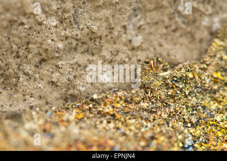 Es hat die chemische Formel (FeS2) Markasit Eisen Sulfid mit orthorhombic Kristallstruktur. Makro. Schöne fantastische backg Stockfoto