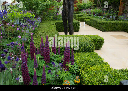 2015 RHS Chelsea Flower Show, The Morgan Stanley gesunde Städte Garten, entworfen von Chris Beardshaw, intensiv gefärbt, Lupinen Stockfoto