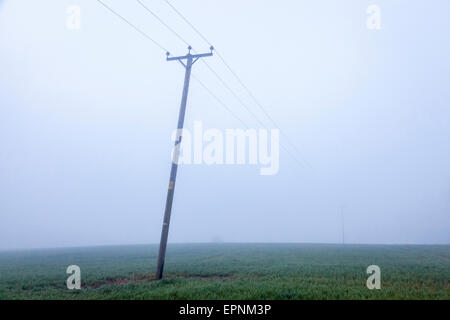 Leitungen auf einer schiefen Gebrauchspfosten über ein Feld auf einem nebligen Morgen, Nottinghamshire, England, Großbritannien Stockfoto