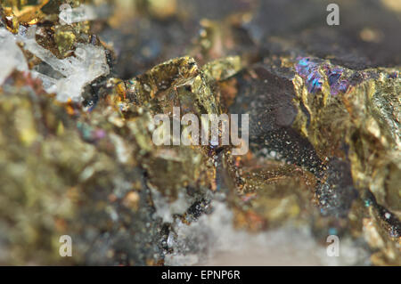 Chalkopyrit, es hat die chemische Formel (CuFeS2). Kupfer Eisen Sulfid Mineral. Makro. Schöne fantastische Kulisse Stockfoto