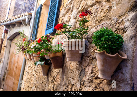 Grüße aus Mallorca, die Insel in Spanien Stockfoto