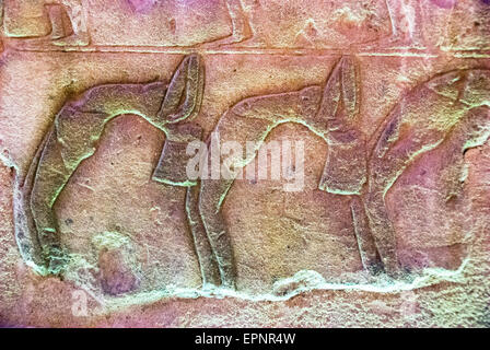 Hieroglyphische Symbole an die Totentempel der Königin Hatschepsut - Deir el Bahari - Oberägypten Stockfoto