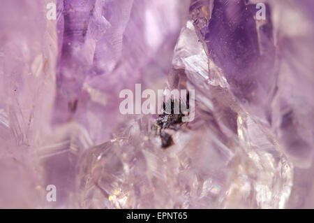 Amethyst ist die violette Sorte von Quarz, die oft in Schmuck verwendet es hat die chemische Formel, Siliciumdioxid, SiO2. Makro. Schöne Stockfoto