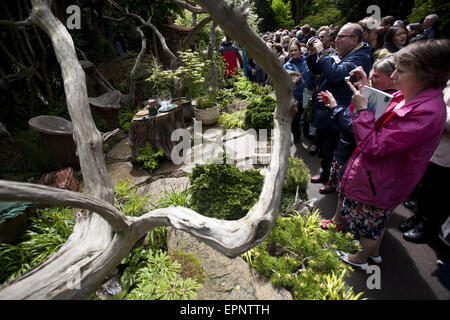 London, UK. 20. Mai 2015. Besucher bewundern das preisgekrönte Bildhauers Picknick Garten von Walkers Baumschulen von Doncaster Deaf Vertrauen auf der Chelsea Flower Show 2015 unterstützt. Die Chelsea Flower Show organisiert von Royal Horticultural Society (RHS) auf dem Gelände des Royal Hospital Chelsea jedes Jahr im Mai, ist die berühmtesten Blumenschau im Vereinigten Königreich, vielleicht in der Welt. Es lockt Aussteller und Besucher aus der ganzen Welt, London, UK. Bildnachweis: Veronika Lukasova/ZUMA Draht/Alamy Live-Nachrichten Stockfoto