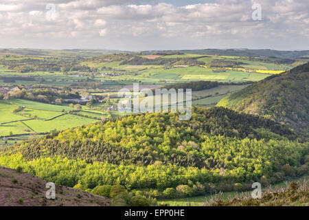 Am späten Nachmittag leichte von Hergest Ridge Hereford an der Grenze zwischen England und Wales, England, UK Stockfoto