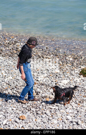 Frau spielen mit Spaniel hund am Strand bei Freshwater Bay, Isle of Wight, Hampshire Großbritannien im Mai Stockfoto