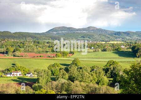 Malvern Hills von Bringsty häufig in Frühling, Herefordshire, England, UK Stockfoto