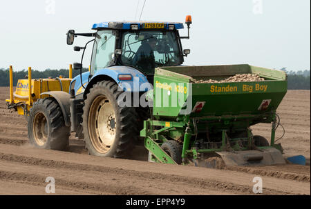 Standen Big Big Kartoffel Pflanzer mit Chafer Crop Sprayer an der Vorderseite des new Holland Traktor, Sutton Heath, Suffolk, UK befestigt. Stockfoto