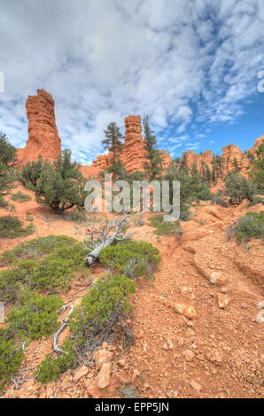 Bryce Canyon Eintrag West USA Utah 2013 Stockfoto