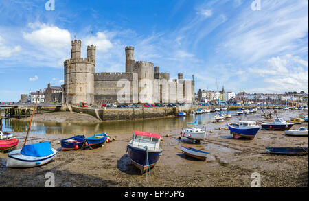 Caernarfon Castle aus über den Fluss-Seiont bei Ebbe, Caernarfon, Gwynedd, Wales, UK Stockfoto