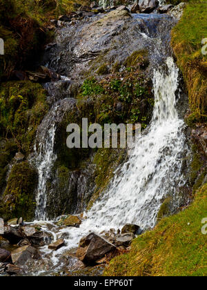 Lightspout Wasserfall in der Carding Mill Valley in Shropshire Hügel in der Nähe von Kirche Stretton und lange Mynd England UK Stockfoto