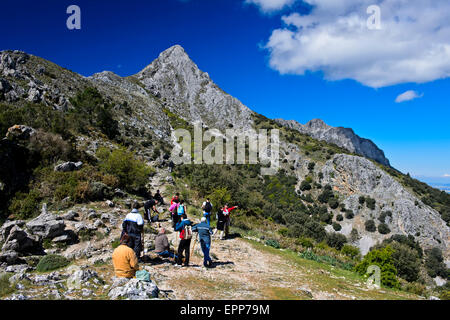 Eine Gruppe von Wanderern auf dem Pass Puerto de Las Cumbres, peak San Cristobal hinter Sierra del Pinar, Grazalema, Andalusien, Spanien Stockfoto