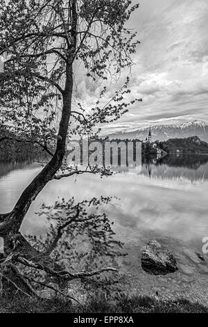 Bled Kroatien in schwarz / weiß Stockfoto