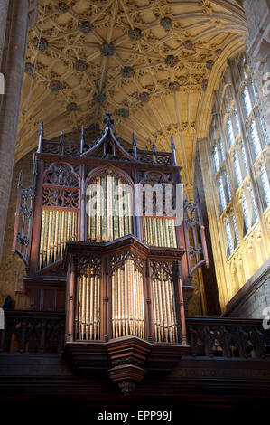 Architektur der Kirche. Die reich verzierten viktorianischen Orgelpfeifen und Teil des prächtigen historischen gewölbte Decke von Sherborne Abbey in Dorset, England, UK. Stockfoto