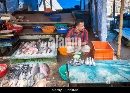 Ein einheimischer Fischer Standbesitzer seinen Fang sitzen an einem Marktstand Fisch nahe der Küste in Fort Cochin, Kerala, Südindien anzeigen Stockfoto